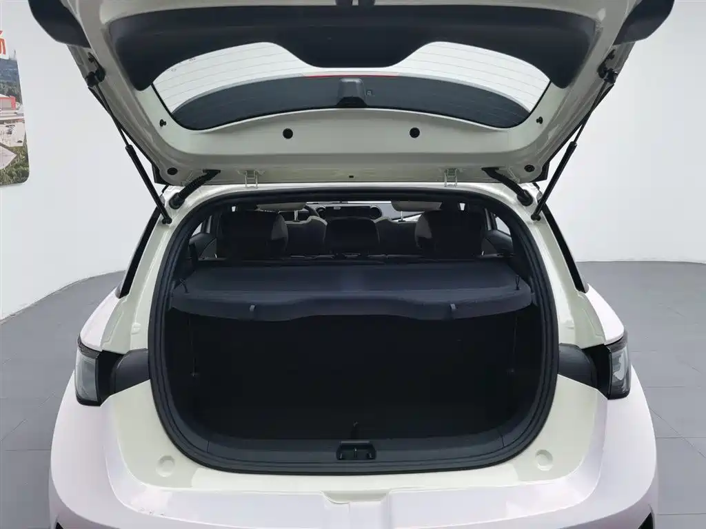 BYD Dolphin 2025 — фото 16