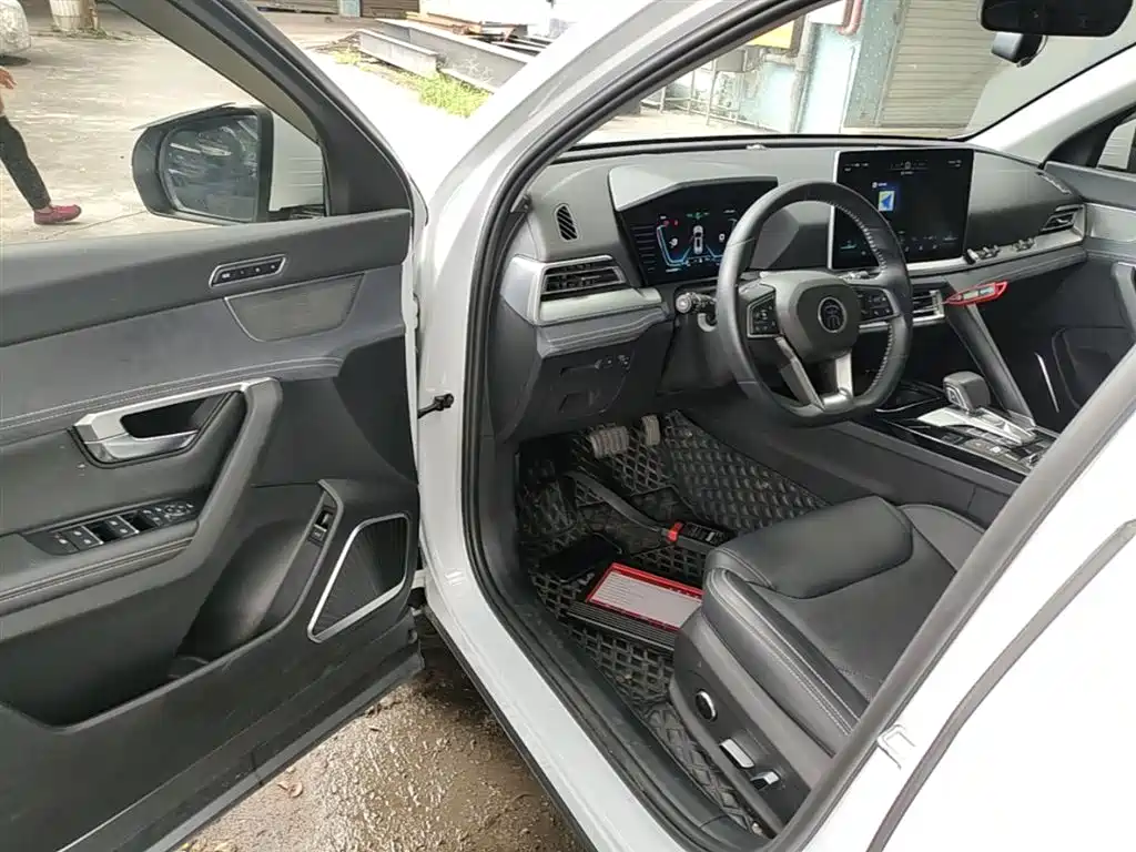 BYD Pro New Energy 2020 — фото 16