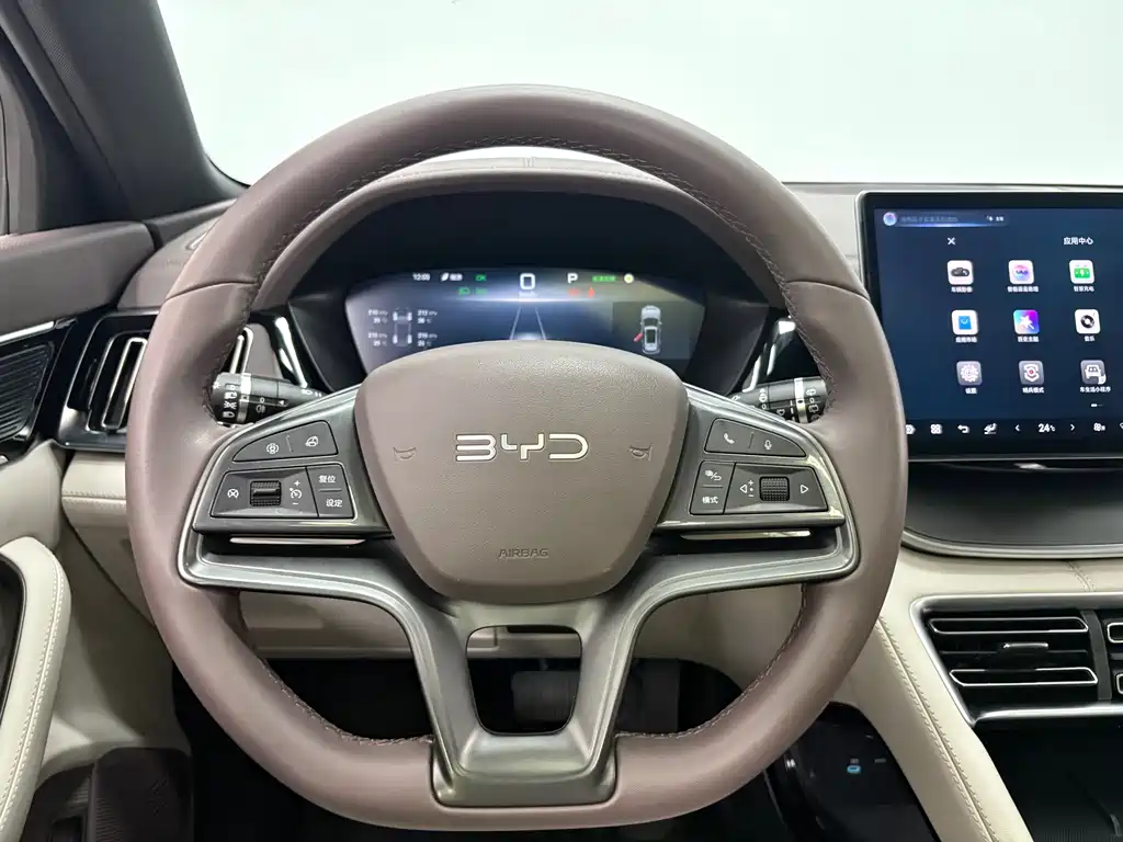 BYD PLUS New Energy 2024 — фото 13