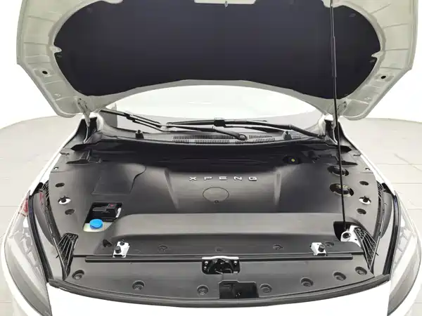XPeng G3 2019