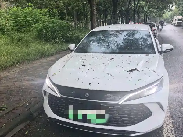 BYD Qin L 2024
