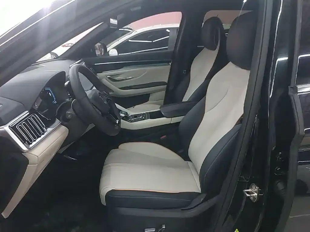 BYD PLUS New Energy 2023 — фото 15