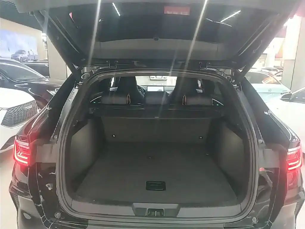 BYD PLUS New Energy 2023 — фото 19