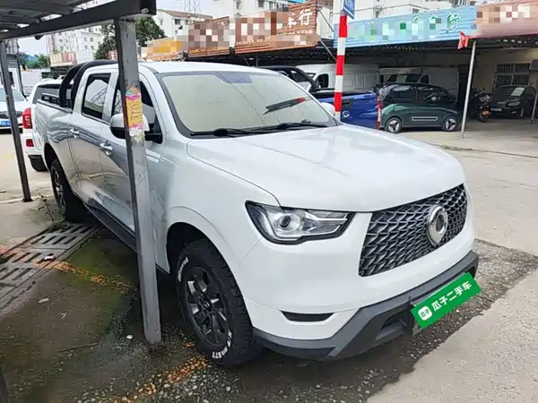 Great Wall Poer 2022