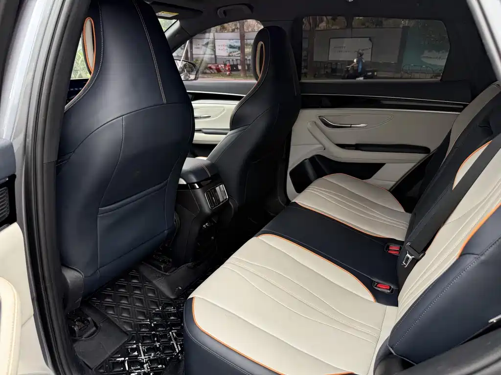 BYD PLUS New Energy 2022 — фото 13