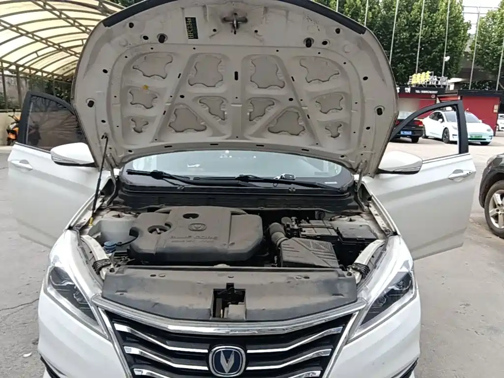 Changan Eado DT 2019 — фото 20