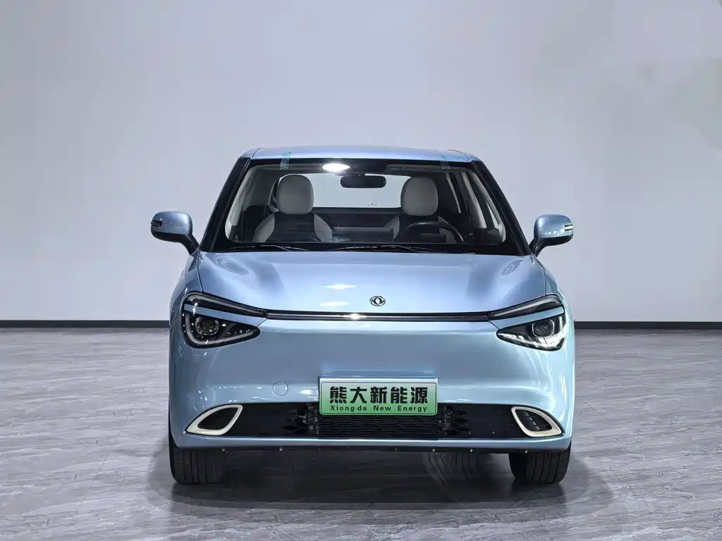 Dongfeng Nano 01 2024