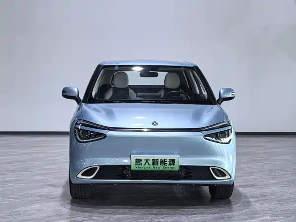 Dongfeng Nano 01 2024
