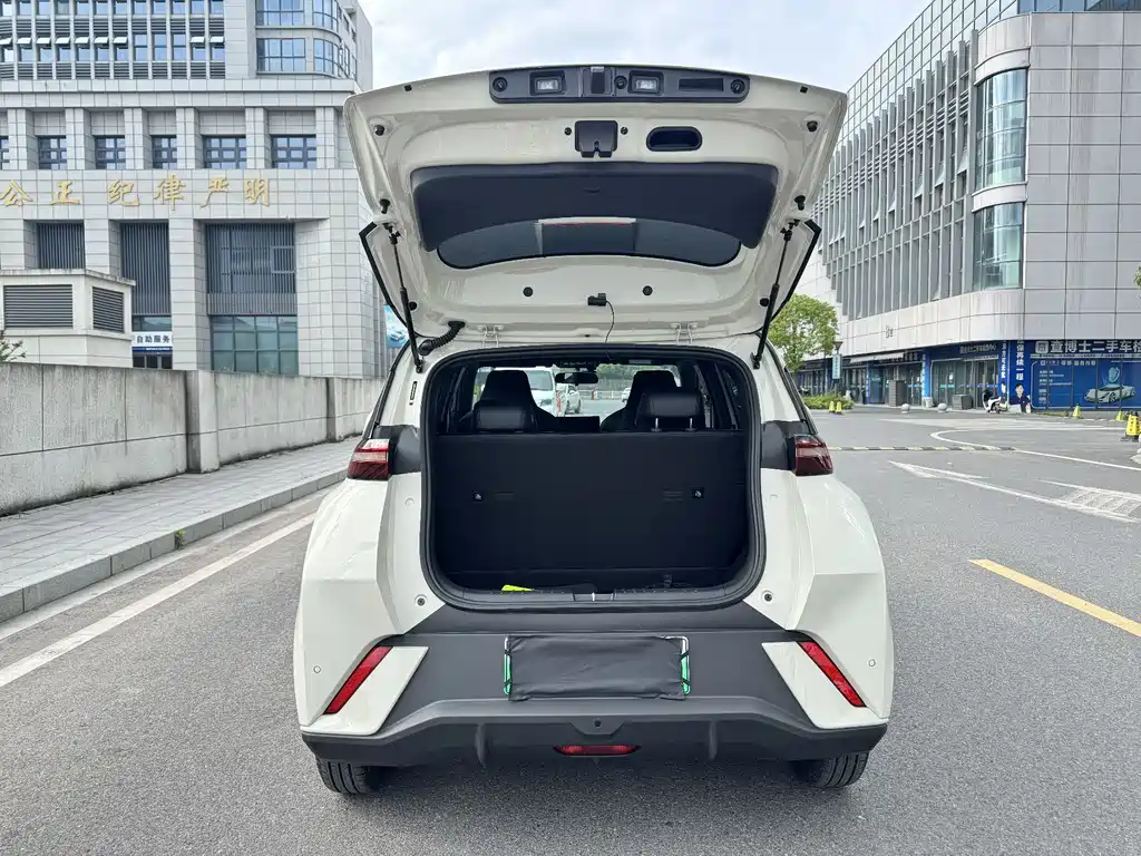 BYD Seagull 2024 — фото 14