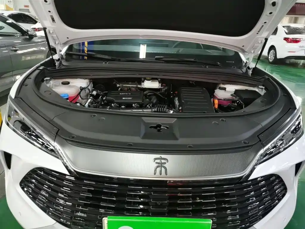 BYD L DM-i 2025 — фото 20