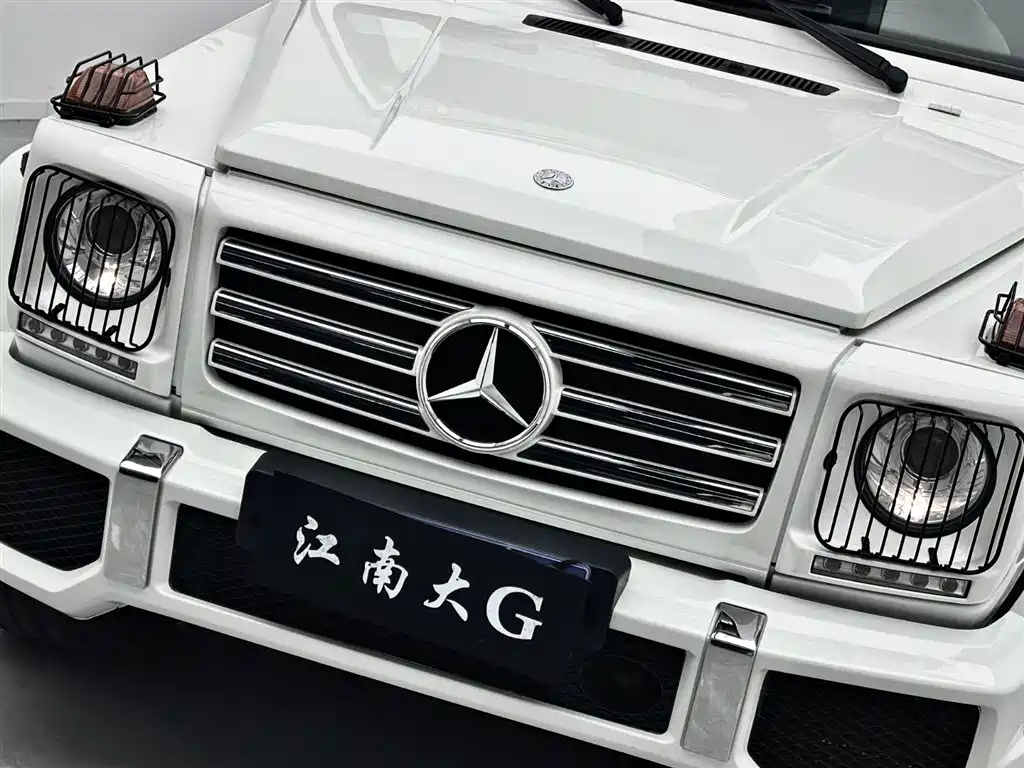 Mercedes-Benz G-Class AMG 2009 — фото 4