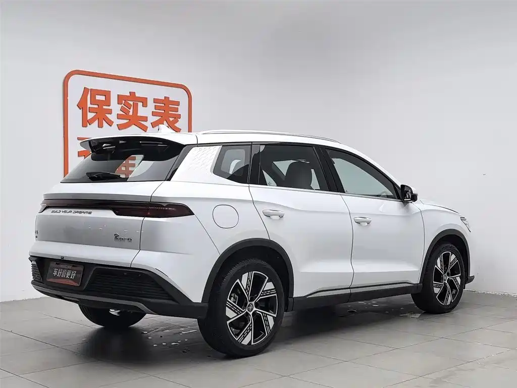 BYD Pro New Energy 2024 — фото 2