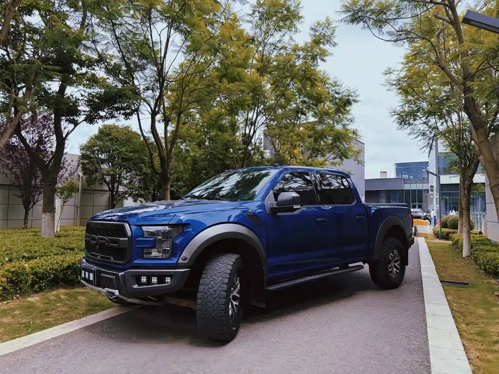 Ford F-150 Raptor 2019 — фото 1