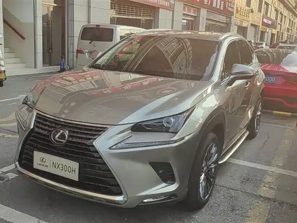 Lexus NX 2020 — фото 1