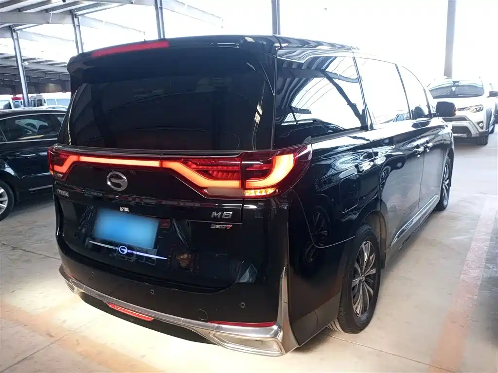 GAC Motor Trumpchi M8 2024 — фото 23