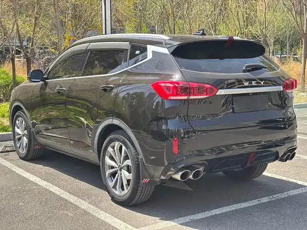 Wey VV6 2020