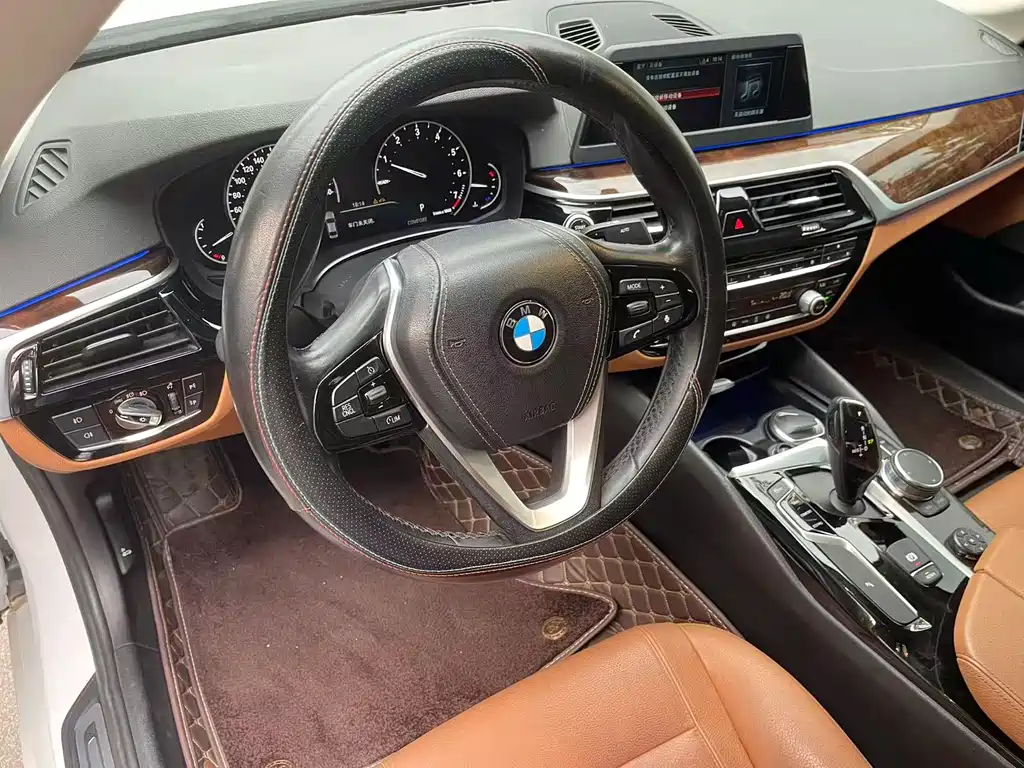 BMW 5 Series 2018 — фото 19