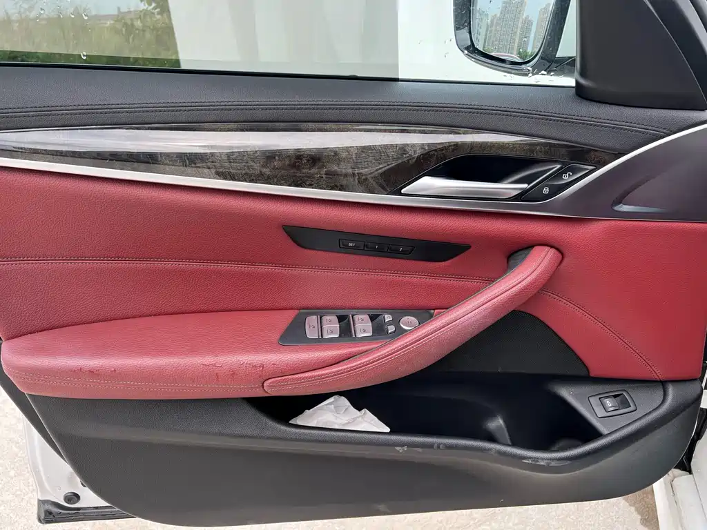BMW 5 Series 2019 — фото 10
