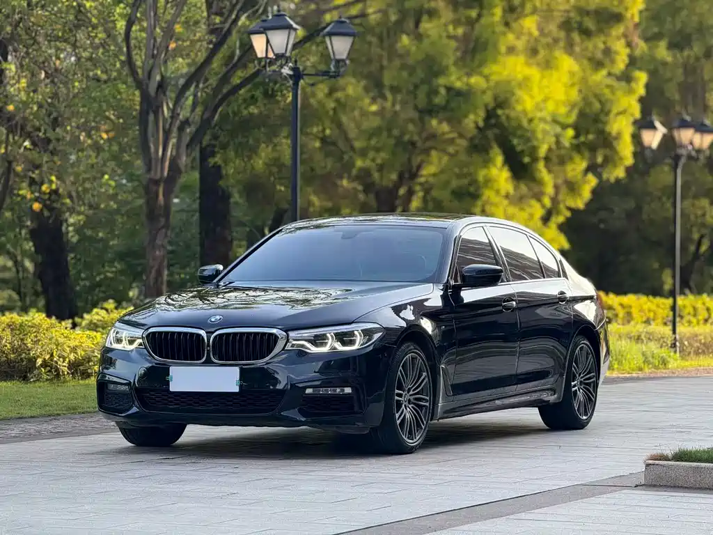 BMW 5 Series 2017 — фото 1