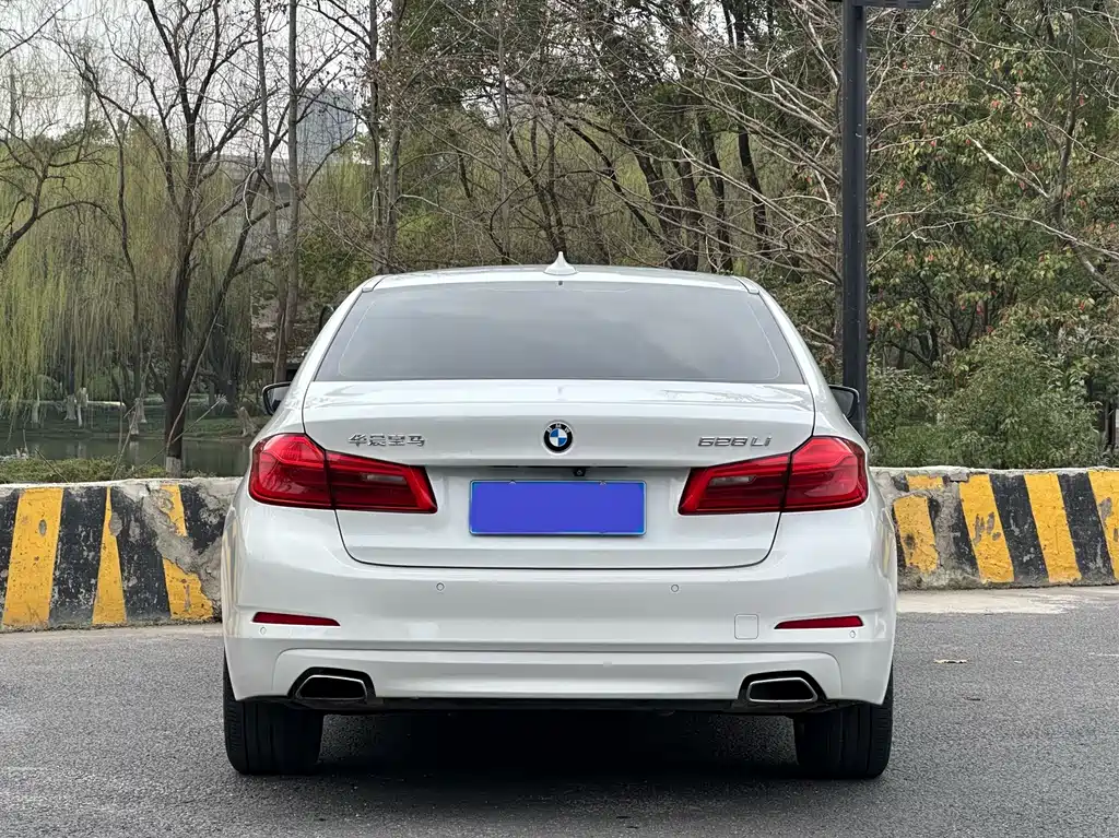 BMW 5 Series 2017 — фото 6