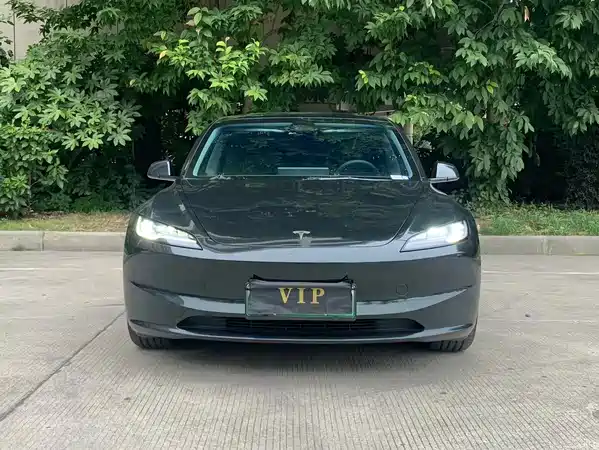 Tesla Model 3 2025