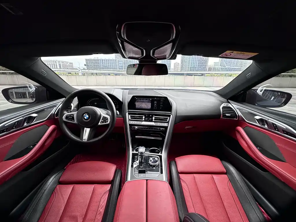 BMW 8 Series 2020 — фото 18
