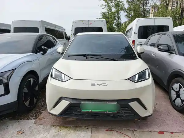 BYD Seagull 2025