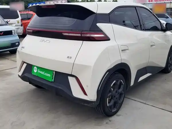 BYD Seagull 2024