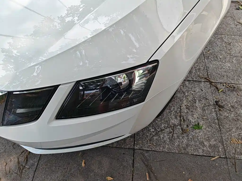 Skoda Octavia 2019 — фото 24