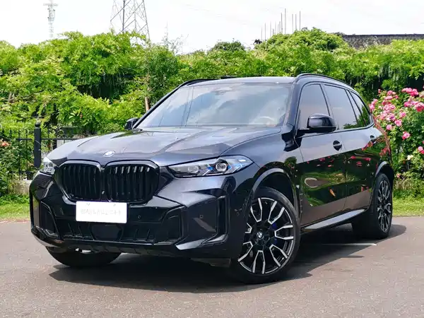 BMW X5 2024