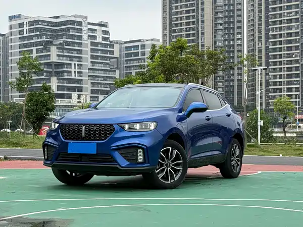 Wey VV5 2020