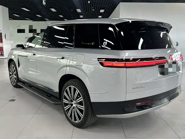 Denza N9 2025