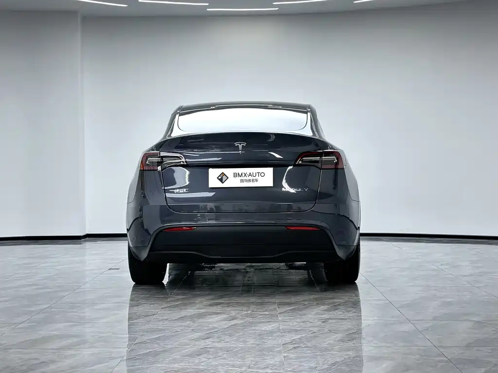 Tesla Model Y 2021 — фото 6