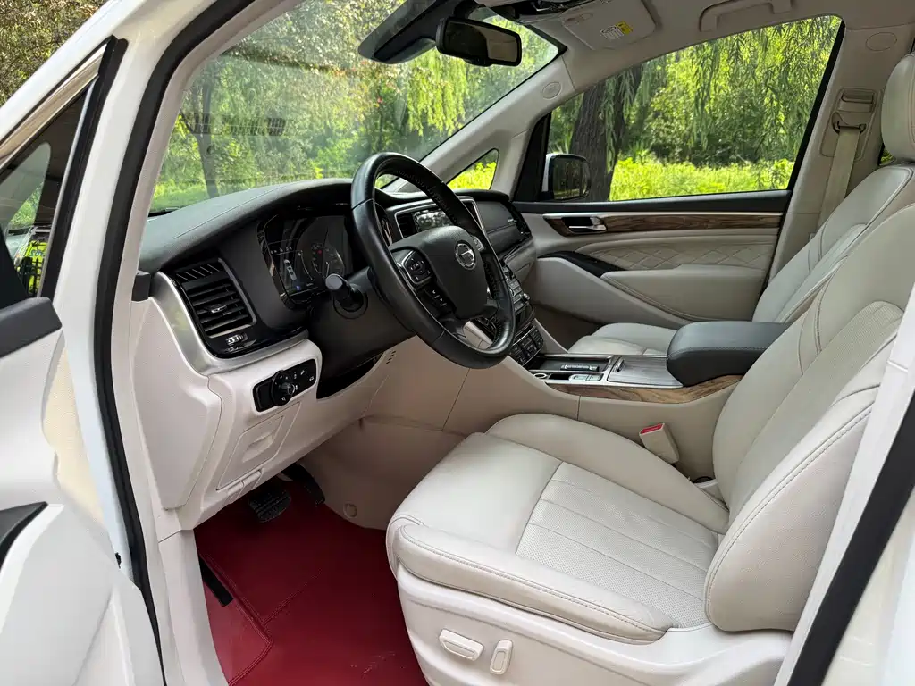 GAC Trumpchi M8 2019 — фото 6