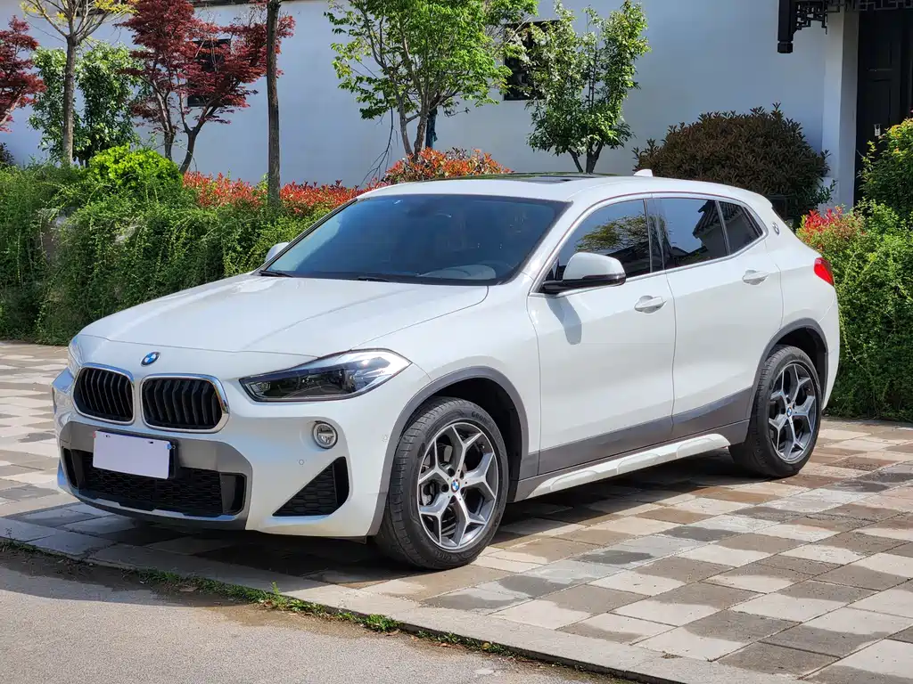 BMW X2 2019 — фото 1