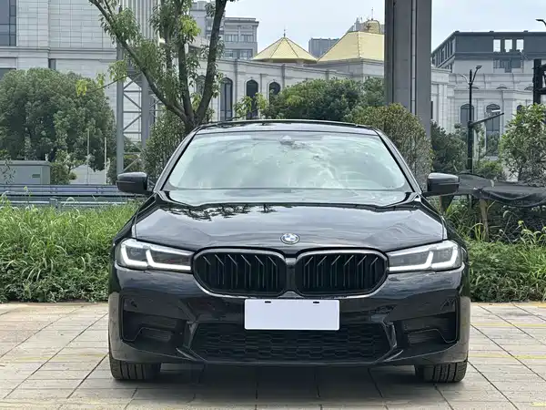 BMW 5 Series New Energy 2020