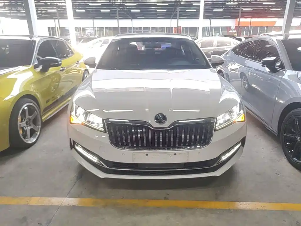 Skoda Speedy 2021