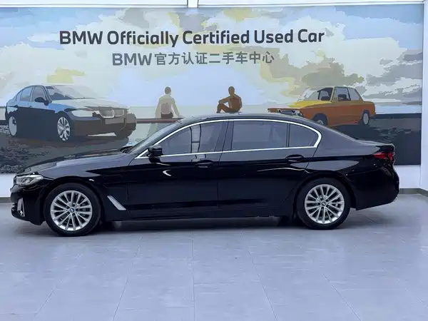 BMW 5 Series New Energy 2020