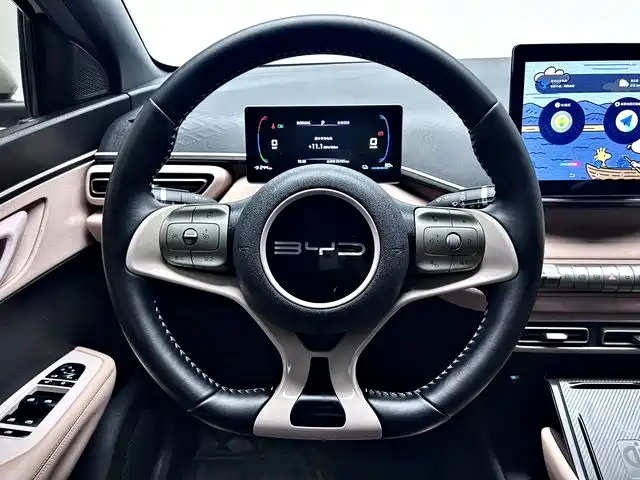 BYD Seagull 2024