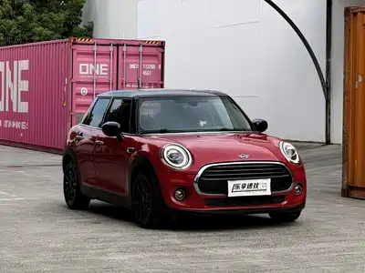 MINI MINI 2020