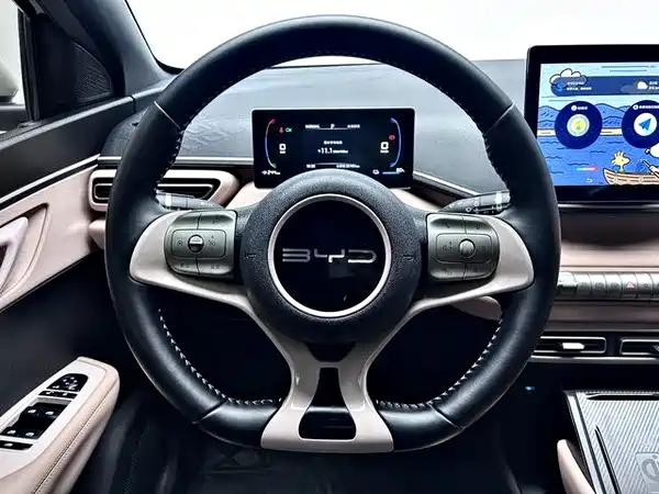 BYD Seagull 2024