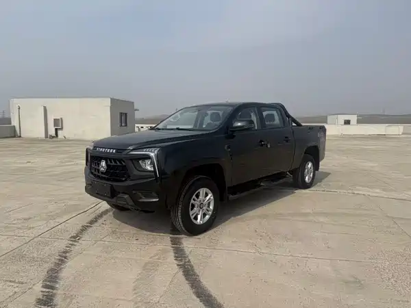 SINOTRUK Win 2024