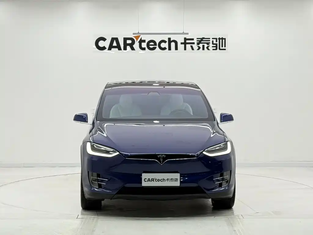 Tesla Model X 2020 — фото 2