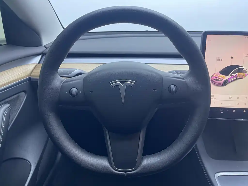 Tesla Model 3 2021 — фото 15