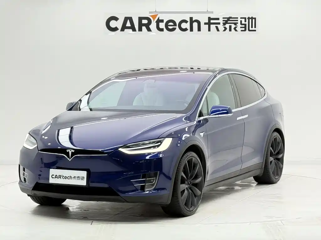 Tesla Model X 2020 — фото 1