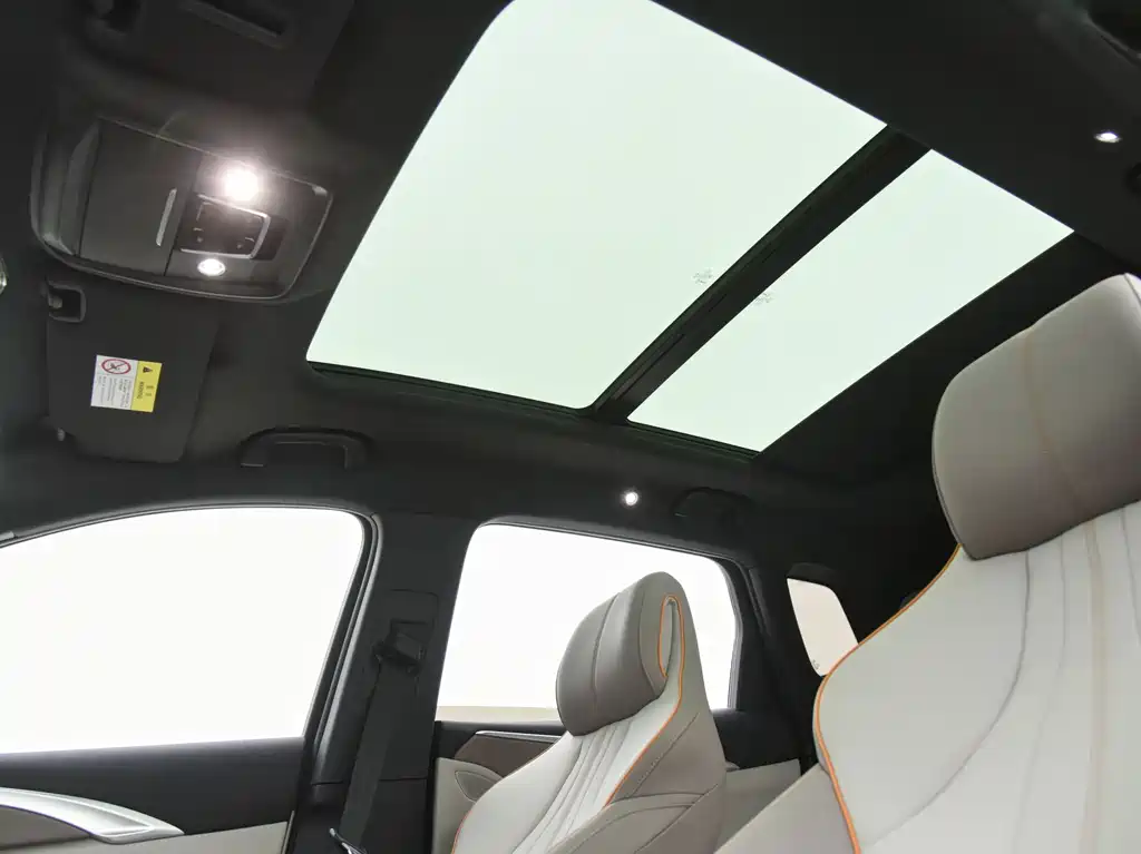BYD Pro New Energy 2024 — фото 14