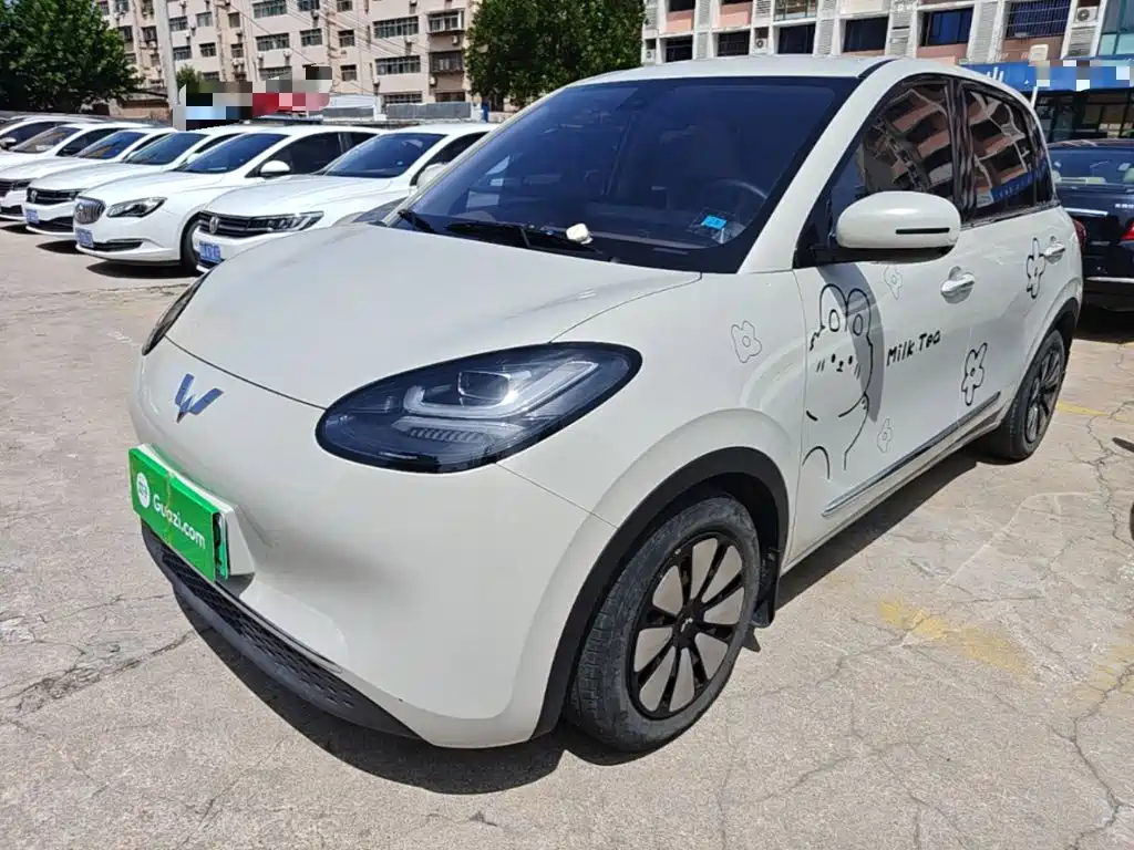Wuling Bingo 2024
