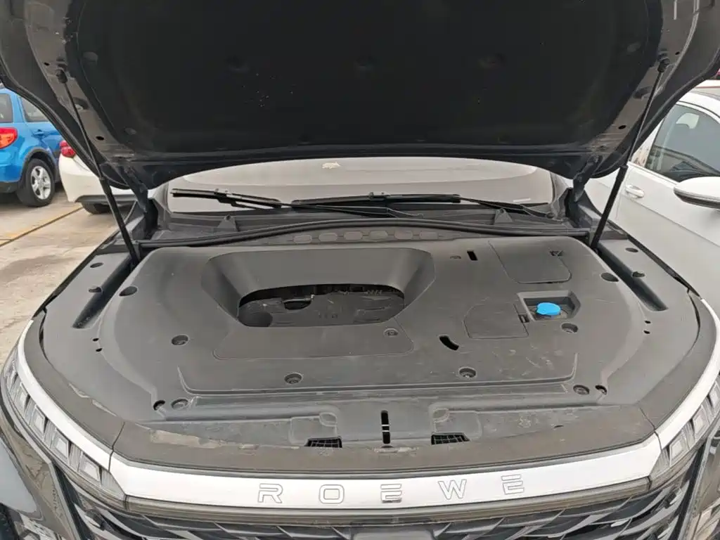 Roewe RX5 MAX 2022 — фото 20