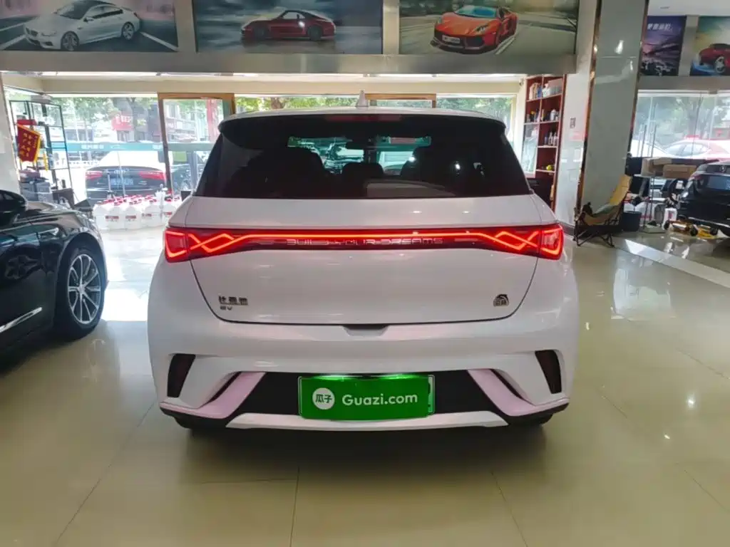 BYD Dolphin 2022
