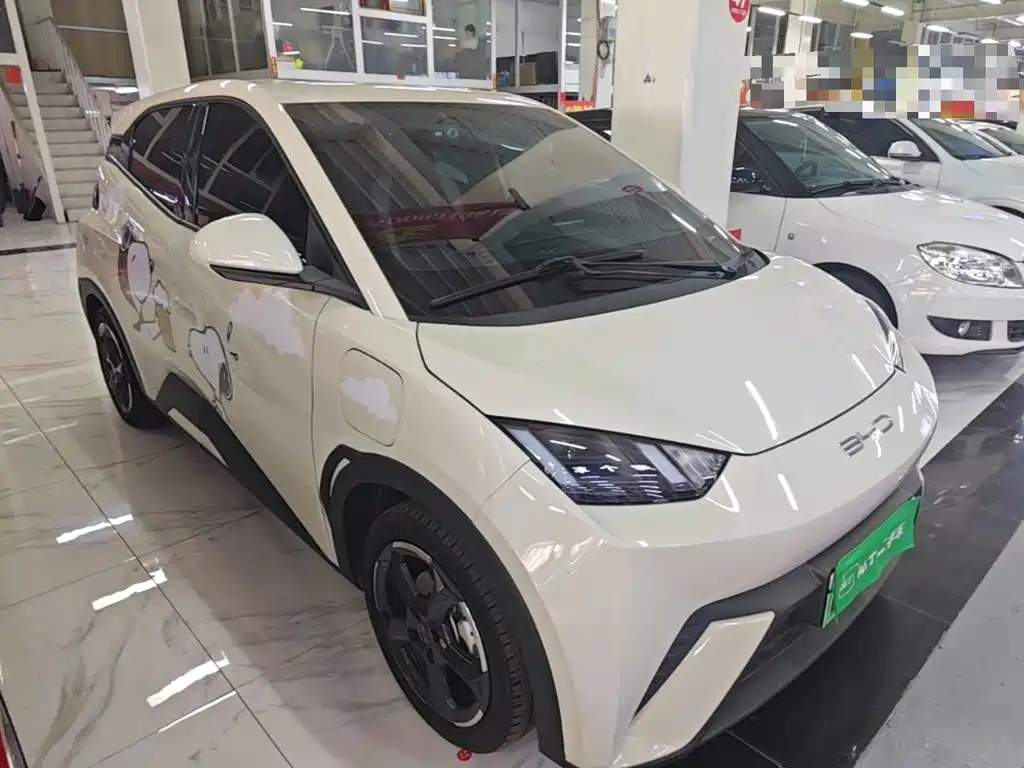 BYD Seagull 2024